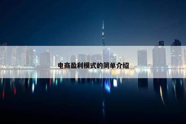 电商盈利模式的简单介绍