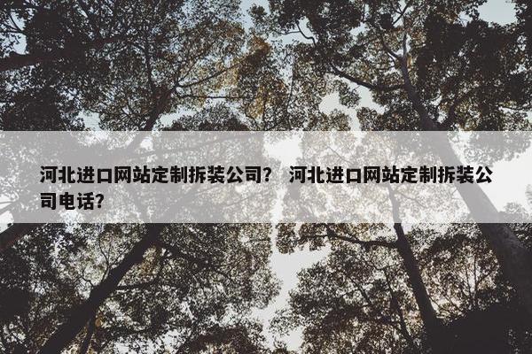 河北进口网站定制拆装公司？ 河北进口网站定制拆装公司电话？