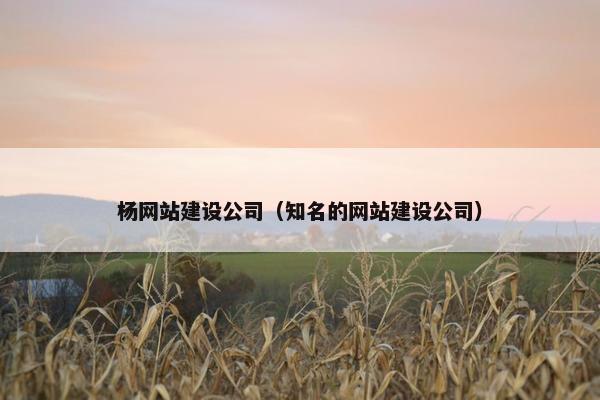 杨网站建设公司（知名的网站建设公司）