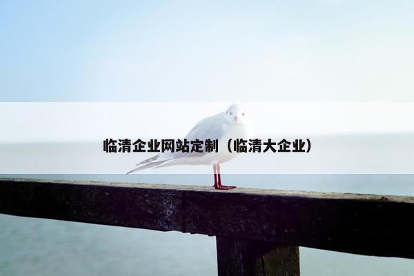 临清企业网站定制（临清大企业）