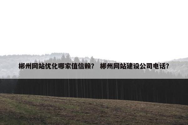 郴州网站优化哪家值信赖？ 郴州网站建设公司电话？