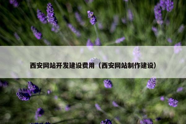 西安网站开发建设费用（西安网站制作建设）