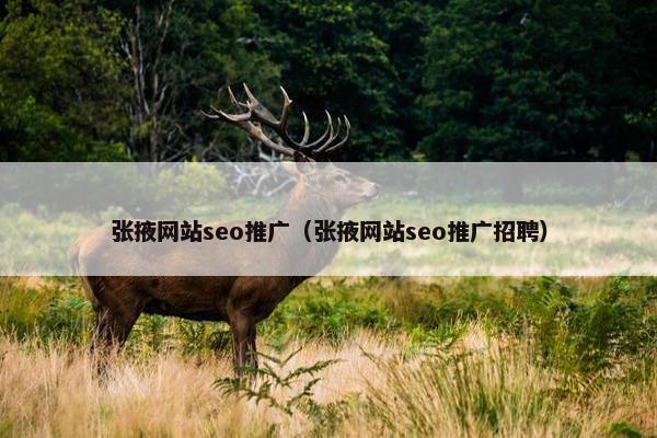 张掖网站seo推广（张掖网站seo推广招聘）