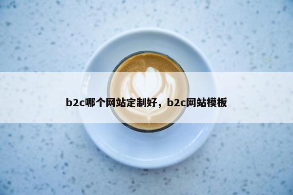 b2c哪个网站定制好，b2c网站模板