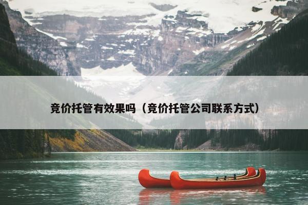 竞价托管有效果吗（竞价托管公司联系方式）