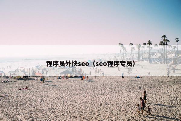 程序员外快seo（seo程序专员）