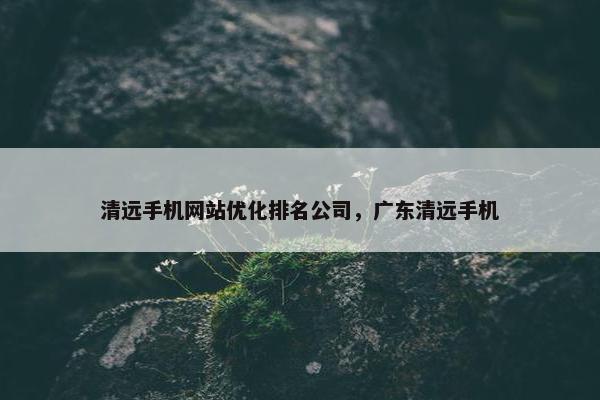 清远手机网站优化排名公司，广东清远手机