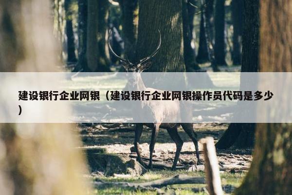 建设银行企业网银（建设银行企业网银操作员代码是多少）