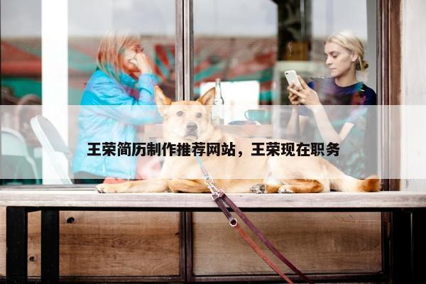 王荣简历制作推荐网站，王荣现在职务