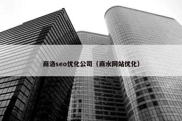 商洛seo优化公司（商水网站优化）