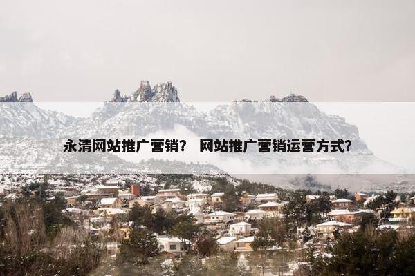 永清网站推广营销？ 网站推广营销运营方式？