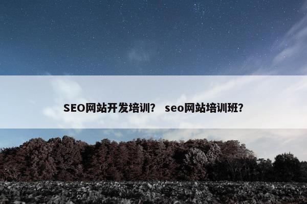 SEO网站开发培训？ seo网站培训班？