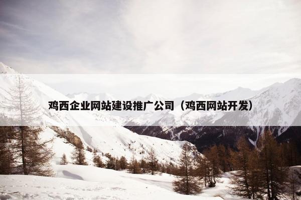 鸡西企业网站建设推广公司（鸡西网站开发）