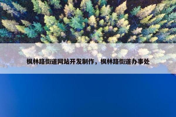 枫林路街道网站开发制作，枫林路街道办事处
