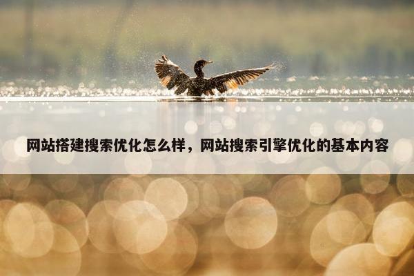 网站搭建搜索优化怎么样，网站搜索引擎优化的基本内容
