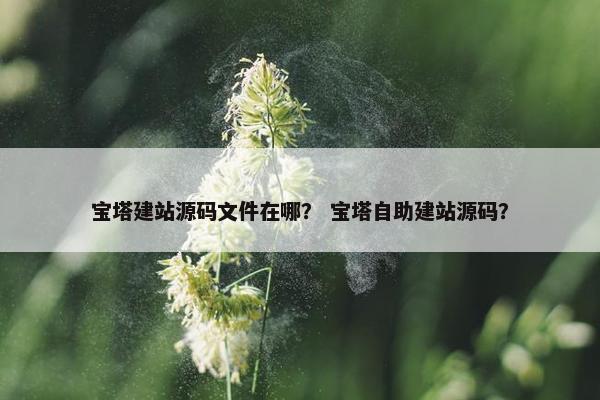 宝塔建站源码文件在哪？ 宝塔自助建站源码？