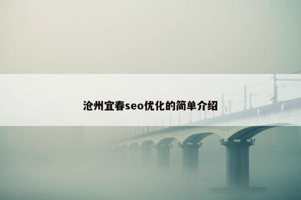 沧州宜春seo优化的简单介绍