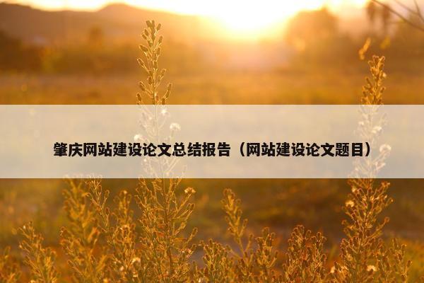 肇庆网站建设论文总结报告（网站建设论文题目）