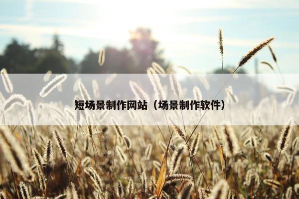 短场景制作网站（场景制作软件）