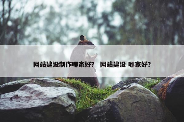 网站建设制作哪家好？ 网站建设 哪家好？