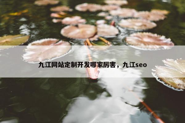 九江网站定制开发哪家厉害，九江seo