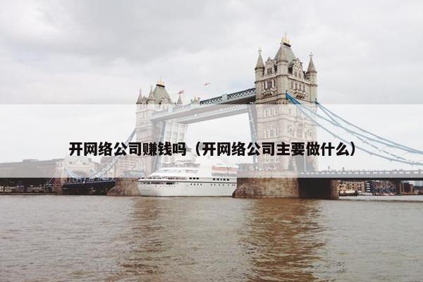 开网络公司赚钱吗（开网络公司主要做什么）