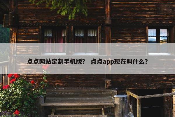 点点网站定制手机版？ 点点app现在叫什么？