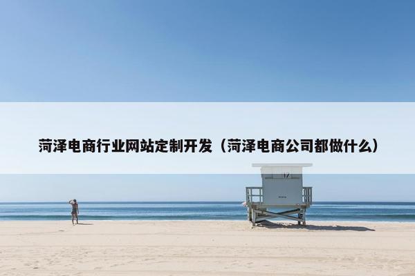 菏泽电商行业网站定制开发（菏泽电商公司都做什么）