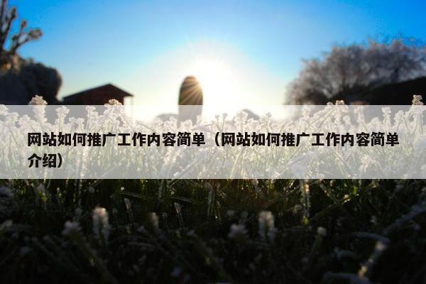 网站如何推广工作内容简单（网站如何推广工作内容简单介绍）