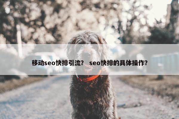 移动seo快排引流？ seo快排的具体操作？