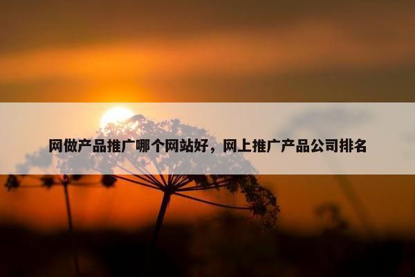 网做产品推广哪个网站好，网上推广产品公司排名