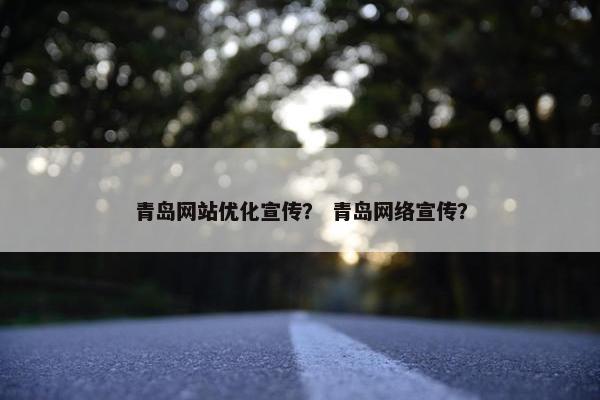 青岛网站优化宣传？ 青岛网络宣传？