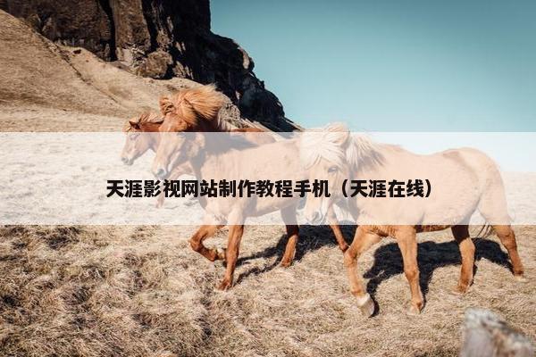 天涯影视网站制作教程手机（天涯在线）