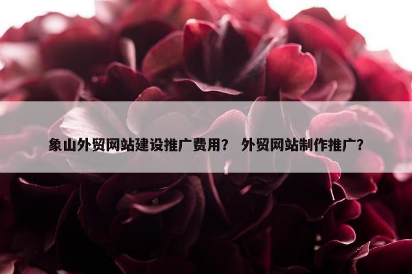 象山外贸网站建设推广费用？ 外贸网站制作推广？