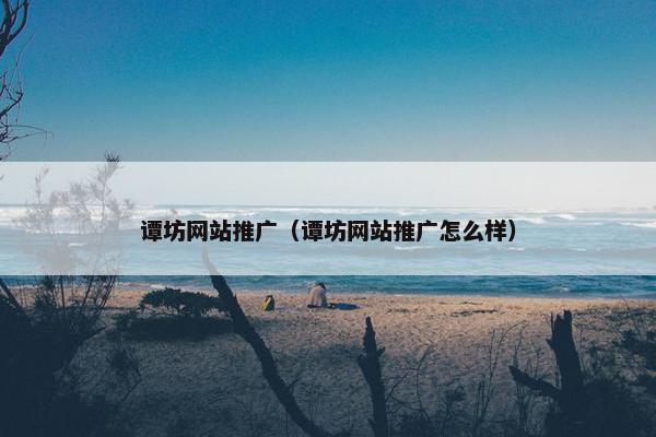 谭坊网站推广（谭坊网站推广怎么样）