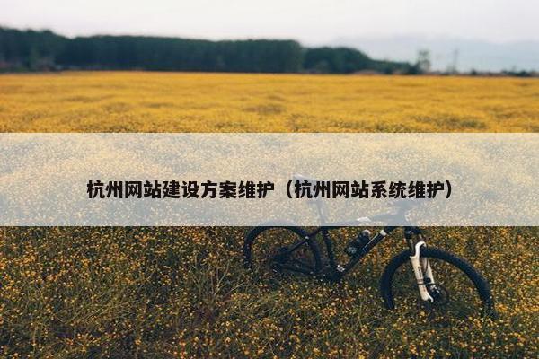 杭州网站建设方案维护（杭州网站系统维护）
