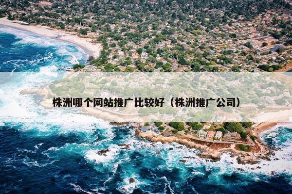 株洲哪个网站推广比较好（株洲推广公司）