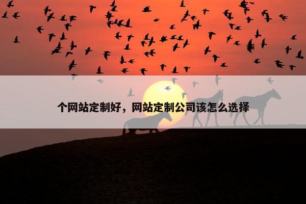 个网站定制好，网站定制公司该怎么选择