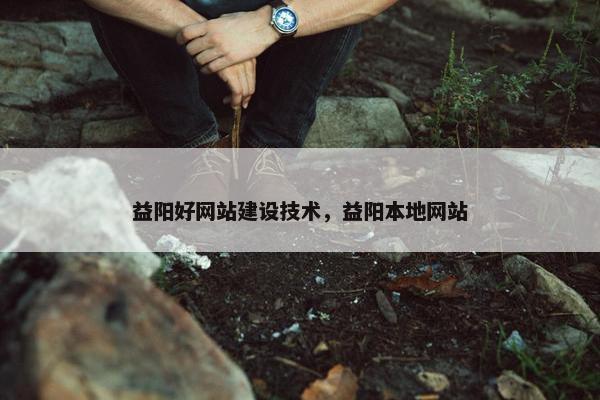 益阳好网站建设技术，益阳本地网站