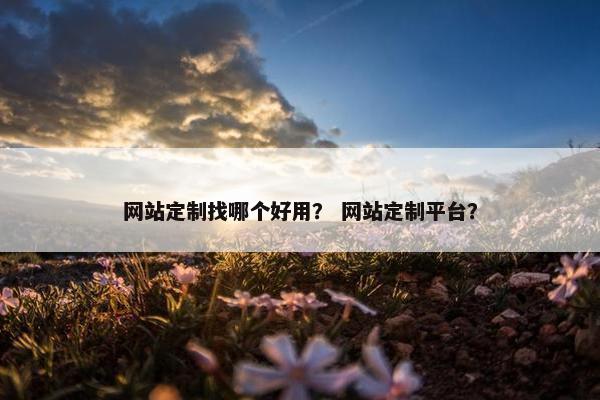网站定制找哪个好用？ 网站定制平台？
