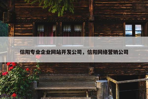 信阳专业企业网站开发公司，信阳网络营销公司