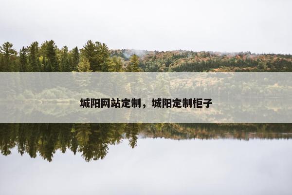 城阳网站定制，城阳定制柜子