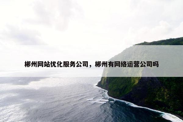 郴州网站优化服务公司，郴州有网络运营公司吗