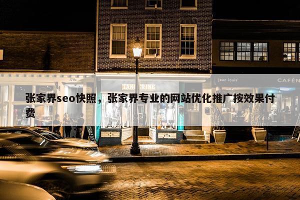 张家界seo快照，张家界专业的网站优化推广按效果付费