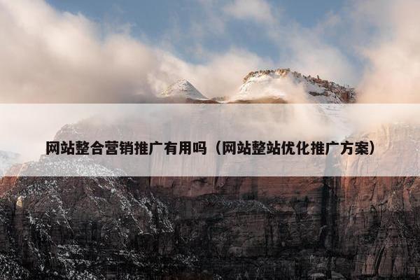 网站整合营销推广有用吗（网站整站优化推广方案）
