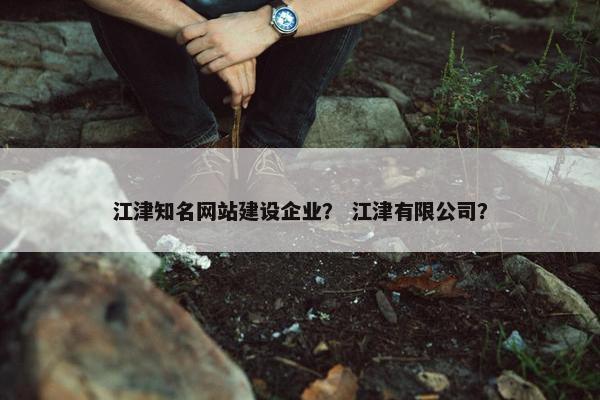 江津知名网站建设企业？ 江津有限公司？