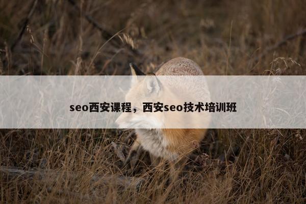 seo西安课程，西安seo技术培训班