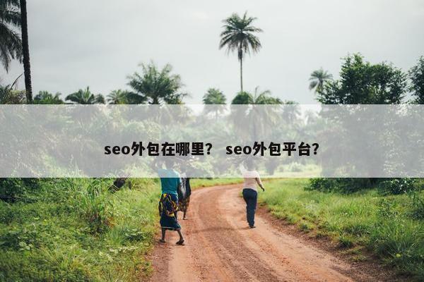 seo外包在哪里？ seo外包平台？