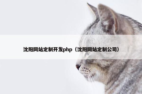 沈阳网站定制开发php（沈阳网站定制公司）