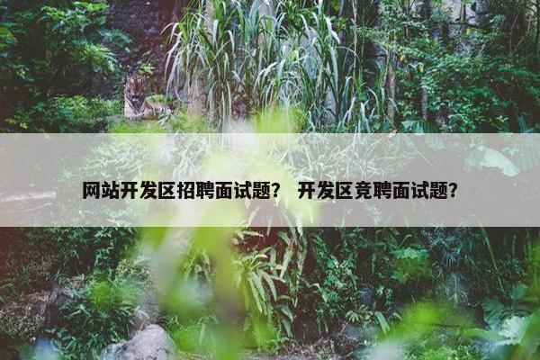 网站开发区招聘面试题？ 开发区竞聘面试题？